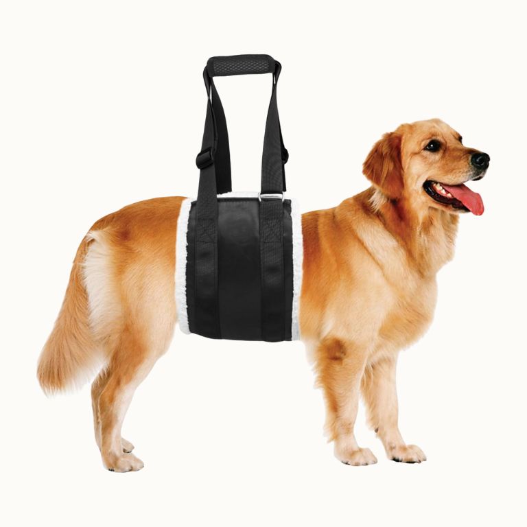 Lifting Sling