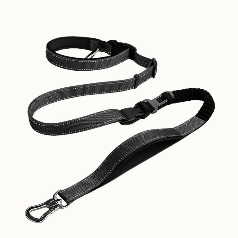 Hands-Free Leash