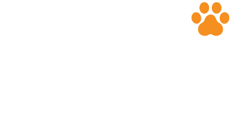 Kodi 